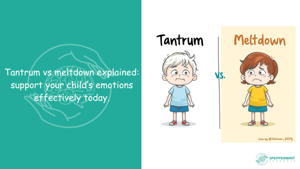 tantrum vs meltdown